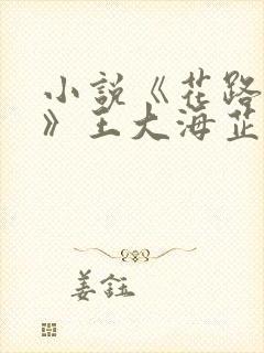 小说《花路璀璨》王大海芷晴在线阅读