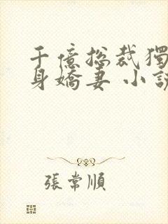 千亿总裁独宠替身娇妻 小说完整板