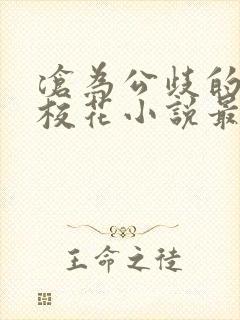 沧为公歧的清纯校花小说最新章节更