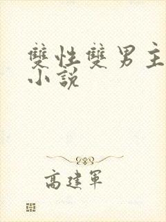 双性双男主高h小说封面