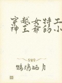 穿越女特工与战神王爷的小说封面