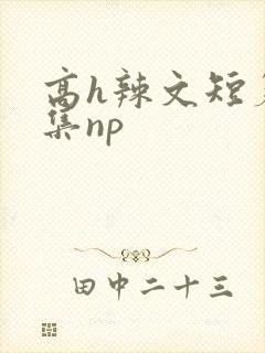 高h辣文短篇合集np