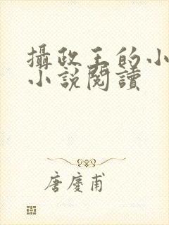 摄政王的小闲妻小说阅读