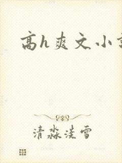 高h爽文小说封面