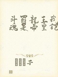 斗罗龙王我的武魂是帝皇铠甲免费阅读