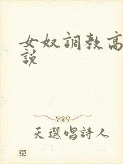 女奴调教高h小说封面