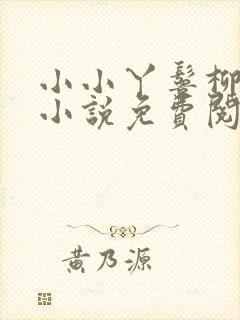 小小丫鬟柳员外小说免费阅读