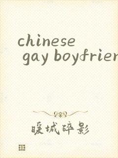 chinese gay boyfriends free gay gv