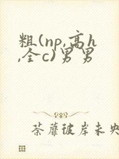 粗(np,高h,全c)男男