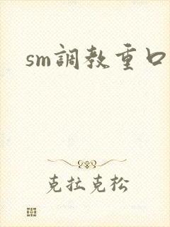 sm调教重口文