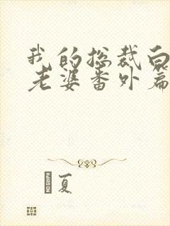 我的总裁白富美老婆番外篇