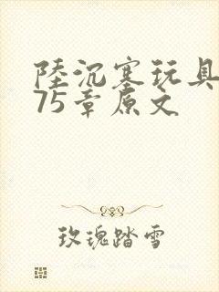 陆沉塞玩具高速75章原文