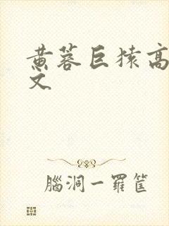 黄蓉巨猿高辣h文