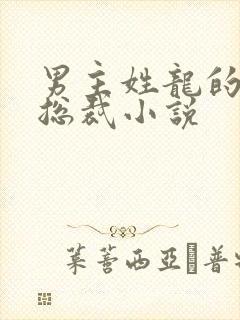 男主姓龙的霸道总裁小说封面