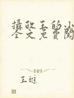 摄政王的小王妃全文免费阅读