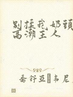 别揉我奶头嗯啊高潮主人封面