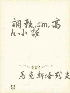 调教,sm,高h小说