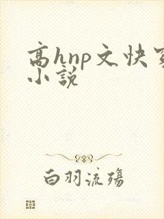 高hnp文快穿小说