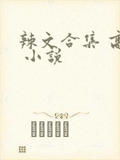 辣文合集 高h 小说