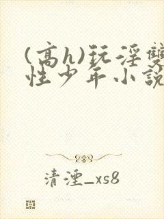 (高h)玩淫双性少年小说