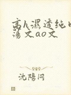 高h湿透纯肉放荡文ao文封面