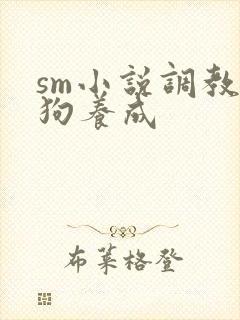 sm小说调教母狗养成