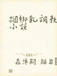 捆绑乳调教另类小说封面