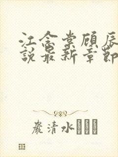 江念棠顾辰聿小说最新章节免费阅读封面