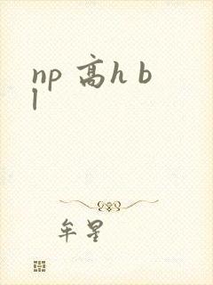 np 高h bl