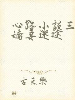心路小说三部曲娇妻迷途