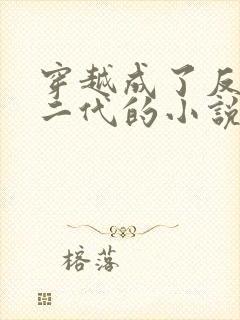 穿越成了反派富二代的小说叶枫