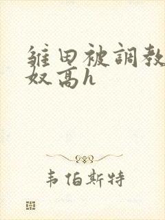 雏田被调教成肉奴高h