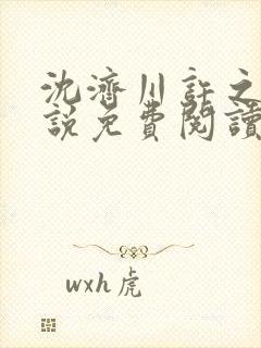 沈济川许之夏小说免费阅读最新章节