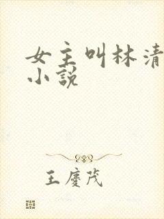 女主叫林清浅的小说
