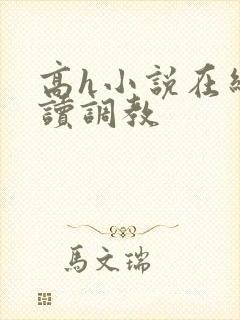 高h小说在线阅读调教