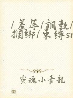 /羞辱/调教/捆绑/束缚sm男男