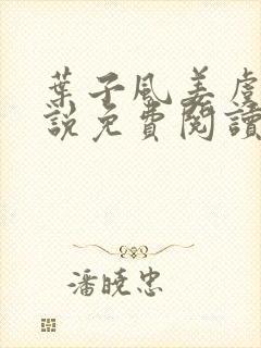 叶子风姜虞雪小说免费阅读封面