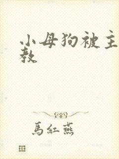 小母狗被主人调教