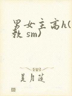 男女主高h(调教 sm)