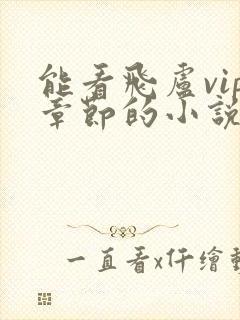 能看飞卢vip章节的小说