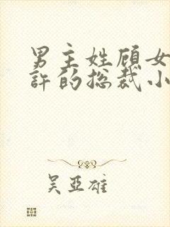 男主姓顾女主姓许的总裁小说