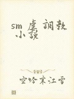 sm 虐 调教 小说