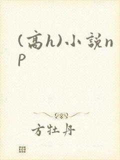 (高h)小说np