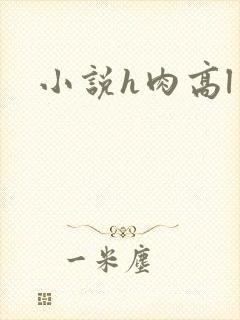 小说h肉高l