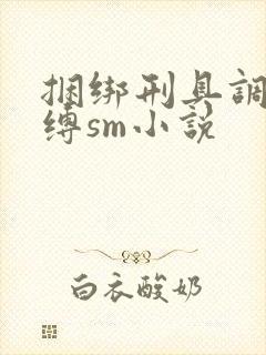 捆绑刑具调教束缚sm小说