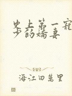 史上第一宠婚慕少的娇妻