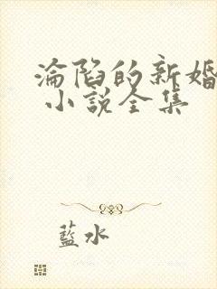 沦陷的新婚少妇 小说全集