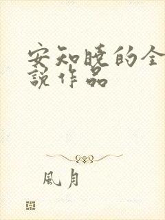 安知晓的全部小说作品