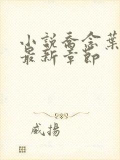 小说乔念叶妄川最新章节