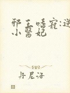 邪王嗜宠:逆天小医妃